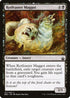 Rotfeaster Maggot (157) [Battlebond]