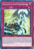 Ninjitsu Art of Super-Transformation (SHVA-EN029) [Shadows in Valhalla]
