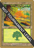 Forest - Sim Han How (ODY) [World Championship Decks]