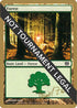 Forest - Daniel Zink (ED) [World Championship Decks]