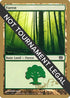 Forest - Daniel Zink (ED) [World Championship Decks]