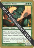 Symbiotic Wurm - Peer Kroger (ONS) [World Championship Decks]