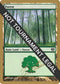 Forest - Julien Nuijten (ED) [World Championship Decks]