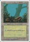 Forest (A) (177) [Fourth Edition]