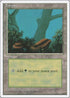 Forest (A) (177) [Fourth Edition]