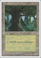 Forest (C) (176) [Fourth Edition]
