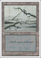 Swamp (C) (191) [Fourth Edition]