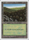 Forest (446) [Fifth Edition]