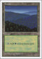 Forest (447) [Fifth Edition]
