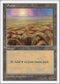 Plains (432) [Fifth Edition]