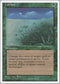 Lifelace [Fourth Edition]