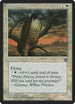 Mesa Falcon Version 2] (10) [Homelands]