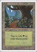 Forest (B) [Unlimited Edition]