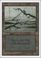Swamp (C) [Unlimited Edition]