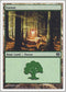 Forest (347) [9th Edition]