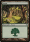 Forest (300) [Lorwyn]