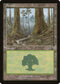 Forest (349) [Mercadian Masques]