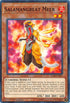 Salamangreat Meer (SDSB-EN007) [Structure Deck: Soulburner]