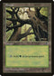 Forest (Skyward) (308) [Tempest]