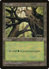 Forest (Skyward) (308) [Tempest]