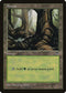 Forest (Pond) (309) [Tempest]