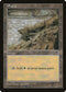 Plains (Dead Tree) (325) [Tempest]