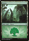 Forest - Gruul (B) (8) [Launch Party & Release Event Promos]