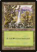 Forest (Waterfall) (293) [Mirage]