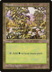 Forest (White Flowers Right) (294) [Mirage]