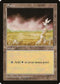 Plains (Bird) (309) [Mirage]