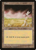 Plains (Bird) (309) [Mirage]