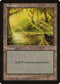 Swamp (Eyes in Log) (313) [Mirage]