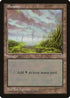 Swamp (Tall Grass) (314) [Mirage]