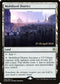 Mobilized District (249) [Prerelease Cards]