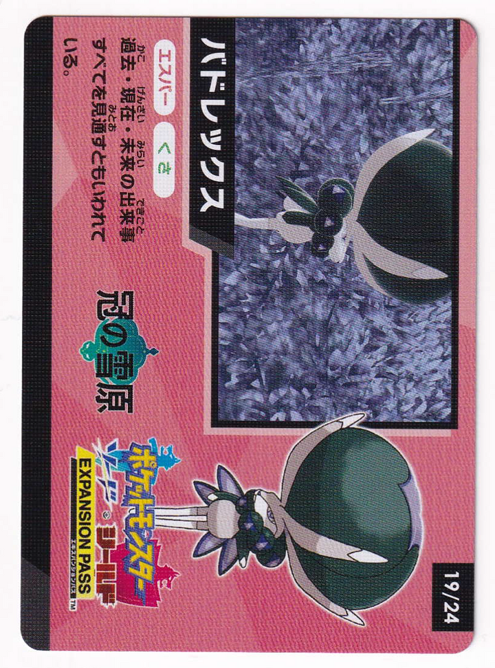 Calyrex 19/24  - Special Card - Japanese Shiny Star V