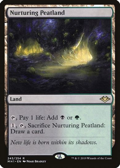 Nurturing Peatland (243) [Modern Horizons]