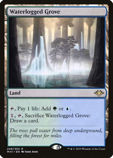 Waterlogged Grove (249) [Modern Horizons]