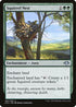 Squirrel Nest (182) [Modern Horizons]