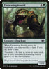 Excavating Anurid (163) [Modern Horizons]
