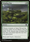 Winding Way (193) [Modern Horizons]
