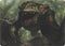 Excavating Anurid (Art Series) (43) [Art Series: Modern Horizons]