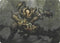Plague Engineer (Art Series) (45) [Art Series: Modern Horizons]