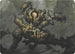 Plague Engineer (Art Series) (45) [Art Series: Modern Horizons]