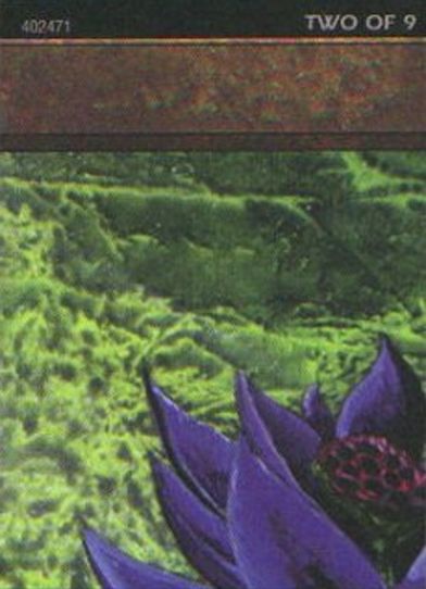 Black Lotus ( of ) (Ultra Pro Puzzle Quest) (1) [Media Promos]