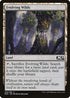 Evolving Wilds (246) [Core Set 2020]