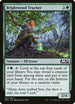 Brightwood Tracker (166) [Core Set 2020]