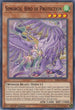 Simorgh, Bird of Protection (RIRA-EN020) [Rising Rampage]