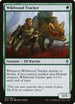 Wildwood Tracker (183) [Throne of Eldraine]