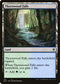 Thornwood Falls (313) [Throne of Eldraine]