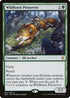 Wildborn Preserver (182) [Throne of Eldraine]